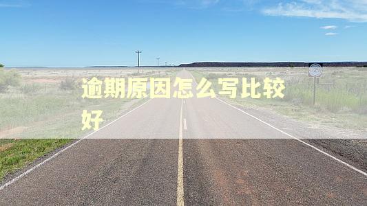 逾期原因怎么写比较好 逾期原因怎么写比较好