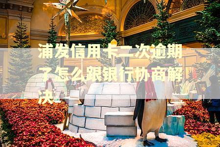 浦发信用卡二次逾期了怎么跟银行协商解决