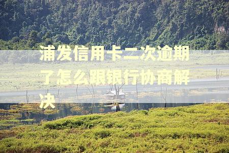 浦发信用卡二次逾期了怎么跟银行协商解决