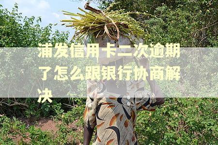 浦发信用卡二次逾期了怎么跟银行协商解决