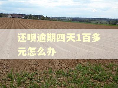 还呗逾期四天1百多元怎么办