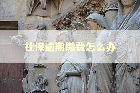 社保逾期缴费怎么办