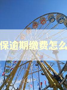 社保逾期缴费怎么办