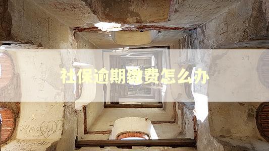 社保逾期缴费怎么办