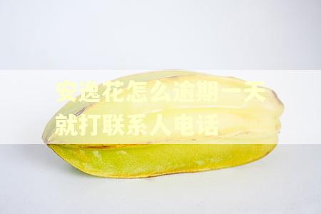 安逸花怎么逾期一天就打联系人电话