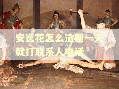 安逸花怎么逾期一天就打联系人电话