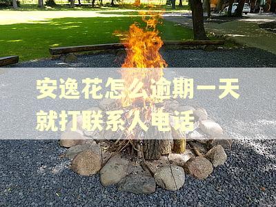 安逸花怎么逾期一天就打联系人电话