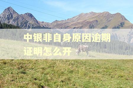 中银非自身原因逾期证明怎么开