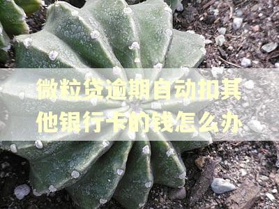 微粒贷逾期自动扣其他银行卡的钱怎么办 微粒贷逾期自动扣其他银行卡的钱怎么办