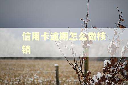 信用卡逾期怎么做核销