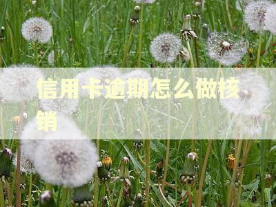 信用卡逾期怎么做核销 信用卡逾期怎么做核销