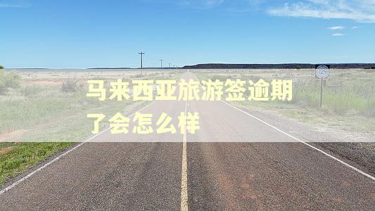 马来西亚旅游签逾期了会怎么样