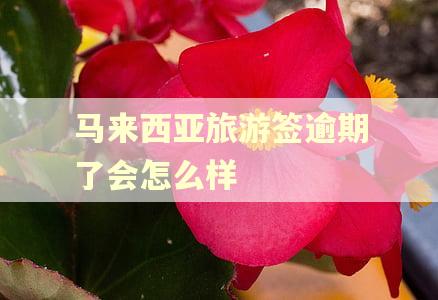 马来西亚旅游签逾期了会怎么样 马来西亚旅游签逾期了会怎么样