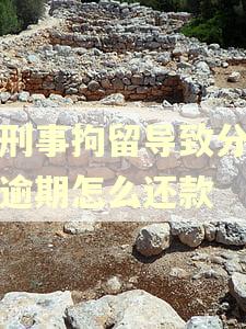 被刑事拘留导致分期乐逾期怎么还款 被刑事拘留导致分期乐逾期怎么还款