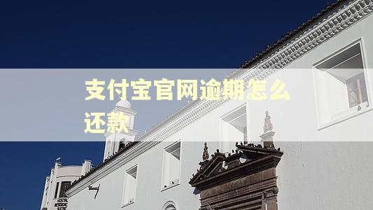 支付宝官网逾期怎么还款