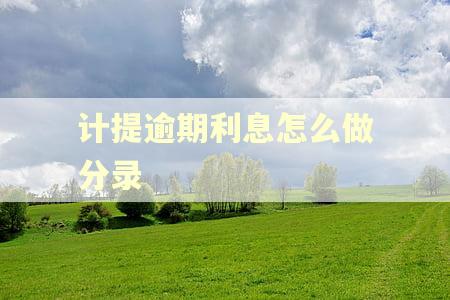 计提逾期利息怎么做分录