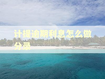 计提逾期利息怎么做分录