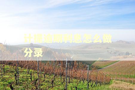 计提逾期利息怎么做分录