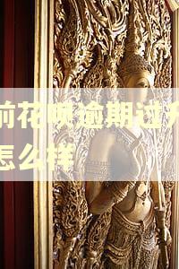 以前花呗逾期过升级会怎么样