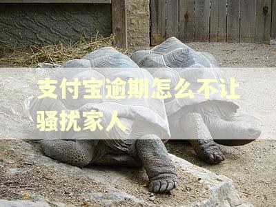 支付宝逾期怎么不让骚扰家人