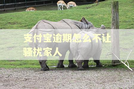 支付宝逾期怎么不让骚扰家人