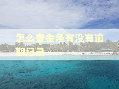 怎么查金条有没有逾期记录
