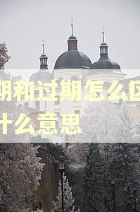 逾期和过期怎么区别是什么意思