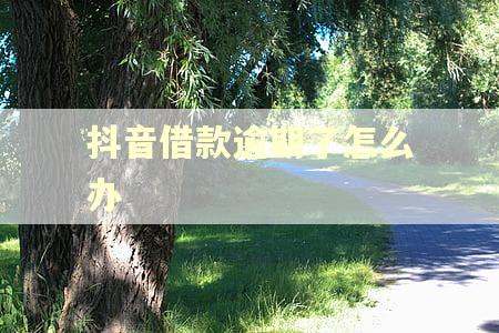 抖音借款逾期了怎么办 抖音借款逾期了怎么办