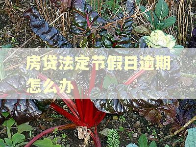 房贷法定节假日逾期怎么办