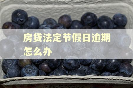房贷法定节假日逾期怎么办
