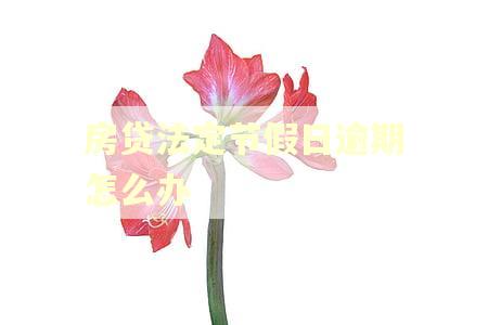房贷法定节假日逾期怎么办 房贷法定节假日逾期怎么办
