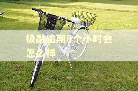 极融逾期8个小时会怎么样
