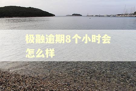 极融逾期8个小时会怎么样