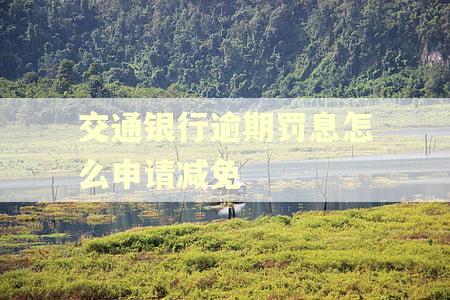 交通银行逾期罚息怎么申请减免