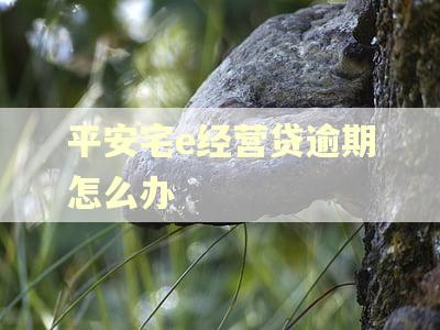 平安宅e经营贷逾期怎么办