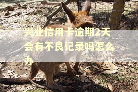 兴业信用卡逾期2天会有不良记录吗怎么办