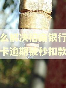 怎么解决招商银行信用卡逾期被秒扣款