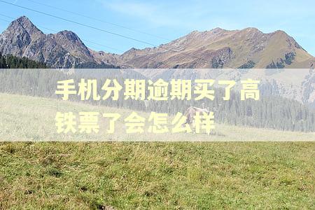 手机分期逾期买了高铁票了会怎么样