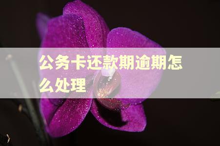 公务卡还款期逾期怎么处理