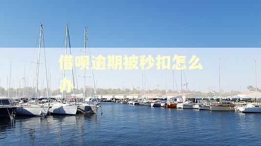 借呗逾期被秒扣怎么办 借呗逾期被秒扣怎么办