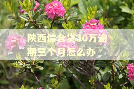 陕西信合贷30万逾期三个月怎么办 陕西信合贷30万逾期三个月怎么办