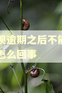 借呗逾期之后不能用了怎么回事