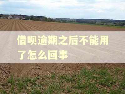 借呗逾期之后不能用了怎么回事