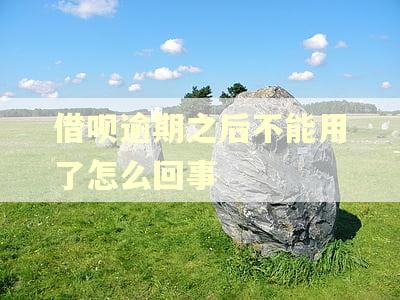 借呗逾期之后不能用了怎么回事