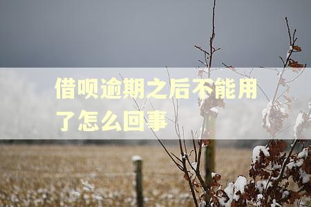 借呗逾期之后不能用了怎么回事