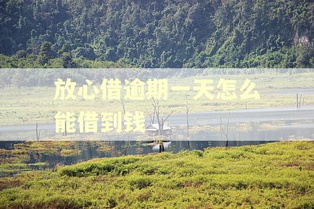 放心借逾期一天怎么能借到钱