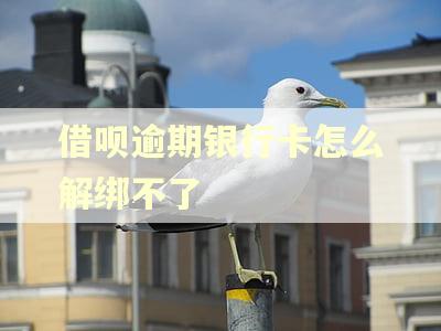 借呗逾期银行卡怎么解绑不了
