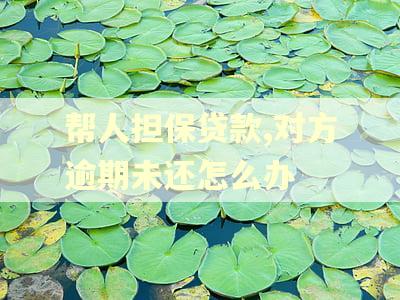帮人担保贷款,对方逾期未还怎么办
