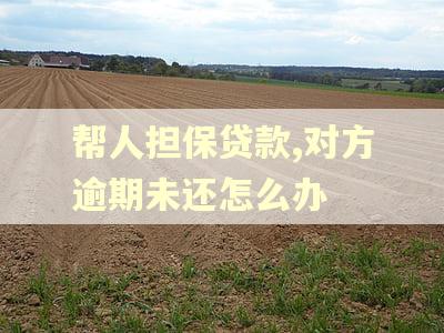 帮人担保贷款,对方逾期未还怎么办 帮人担保贷款,对方逾期未还怎么办