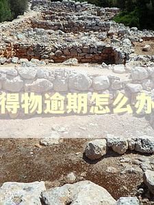 得物逾期怎么办 得物逾期怎么办